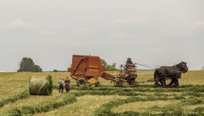 Farmers Farm Things